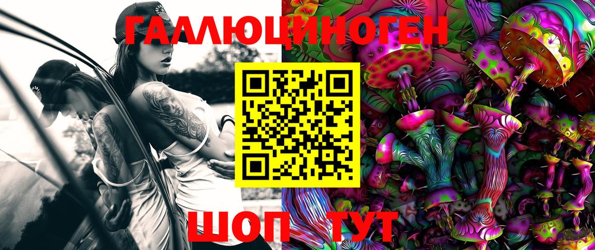 Галлюциногенные грибы Cubensis Краснодар